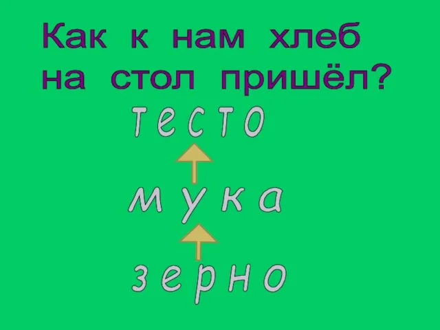 Как к нам хлеб на стол пришёл? т е с т о