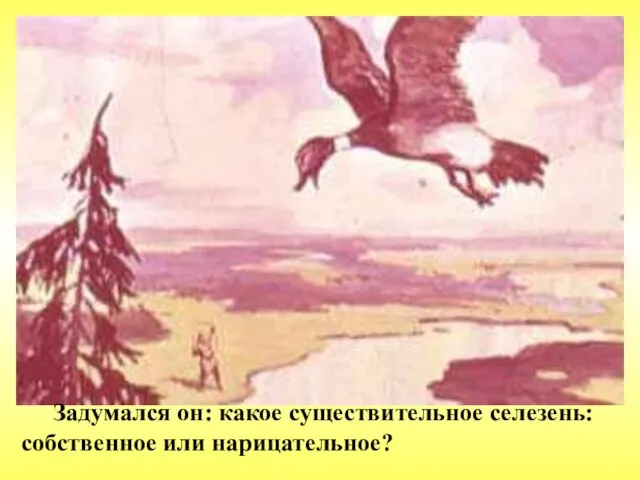 Задумался он: какое существительное селезень: собственное или нарицательное?