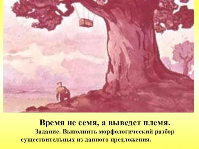 Время не семя, а выведет племя. Задание. Выполнить морфологический разбор существительных из данного предложения.