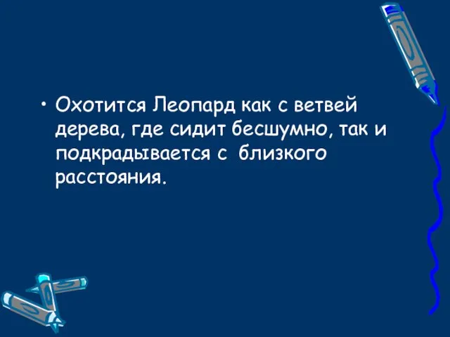 Охотится Леопард как с ветвей дерева, где сидит бесшумно, так и подкрадывается с близкого расстояния.