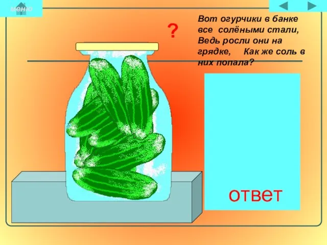 Вот огурчики в банке все солёными стали, Ведь росли они на грядке,