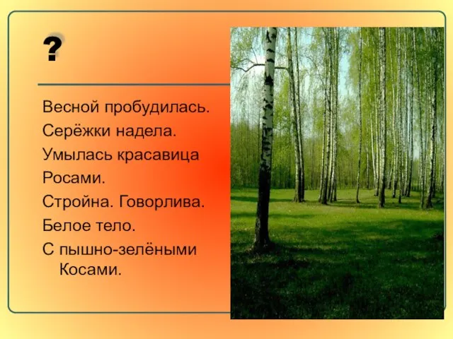 ? Весной пробудилась. Серёжки надела. Умылась красавица Росами. Стройна. Говорлива. Белое тело. С пышно-зелёными Косами.