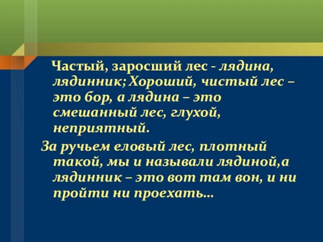 Частый, заросший лес - лядина, лядинник; Хороший, чистый лес – это бор,