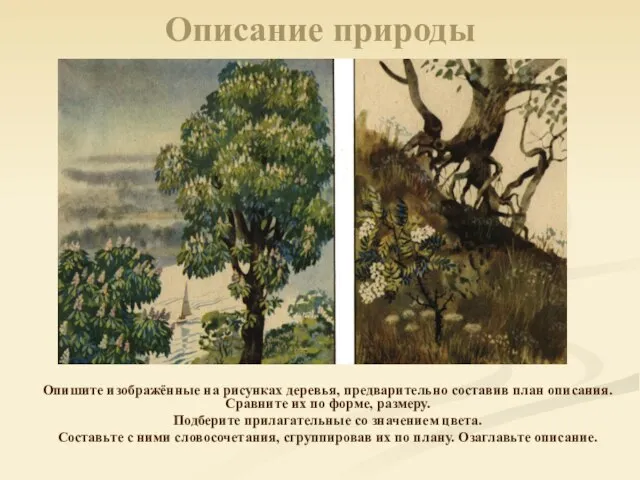 Описание природы Опишите изображённые на рисунках деревья, предварительно составив план описания. Сравните