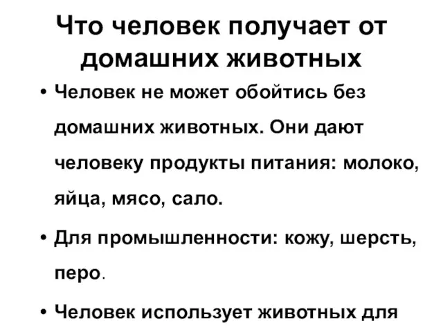 Что человек получает от домашних животных Человек не может обойтись без домашних