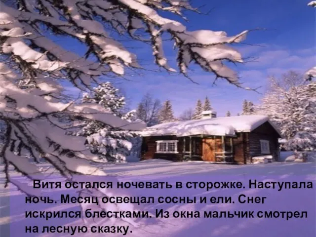 Витя остался ночевать в сторожке. Наступала ночь. Месяц освещал сосны и ели.