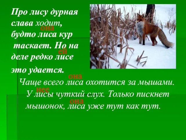 Про лису дурная слава ходит, будто лиса кур таскает. Но на деле