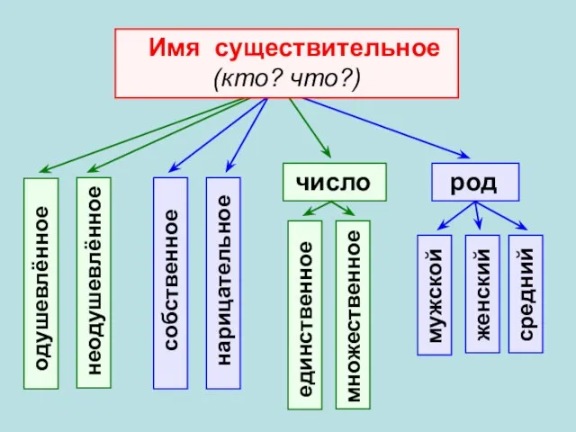 число род мужской женский неодушевлённое одушевлённое нарицательное собственное множественное единственное средний Имя существительное (кто? что?)