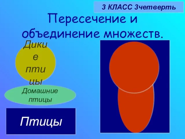 Пересечение и объединение множеств. 3 КЛАСС 3четверть Дикие птицы Домашние птицы Птицы