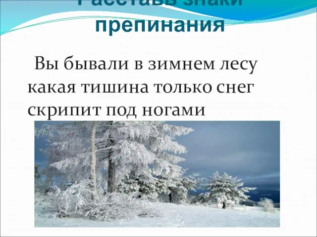 Расставь знаки препинания Вы бывали в зимнем лесу какая тишина только снег скрипит под ногами