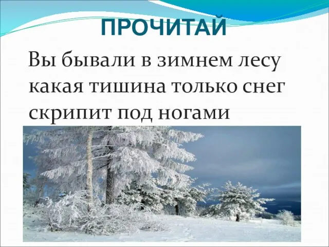 ПРОЧИТАЙ Вы бывали в зимнем лесу какая тишина только снег скрипит под ногами