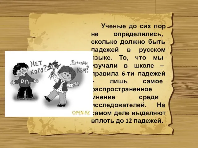 Ученые до сих пор не определились, сколько должно быть падежей в русском