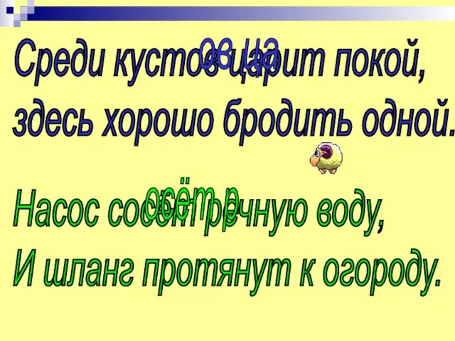 Среди кустов царит покой, здесь хорошо бродить одной. ов ца Насос сосёт