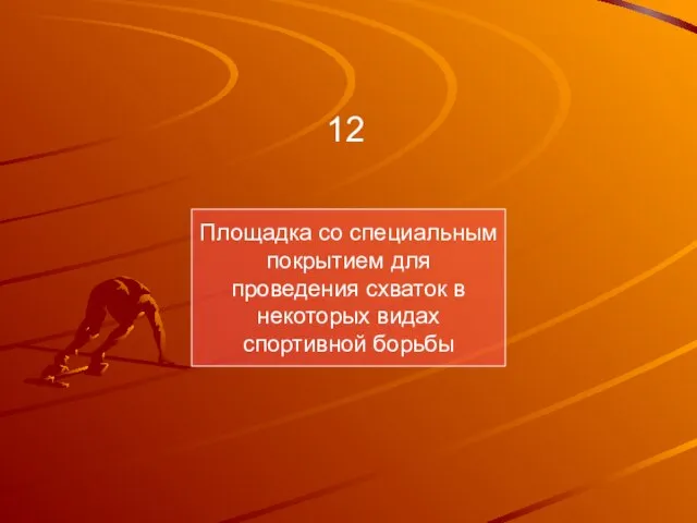 Площадка со специальным покрытием для проведения схваток в некоторых видах спортивной борьбы 12