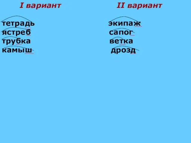 I вариант II вариант тетрадь экипаж ястреб сапог трубка ветка камыш дрозд