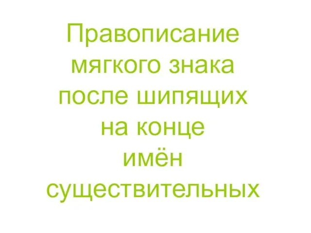 Правописание мягкого знака после шипящих на конце имён существительных