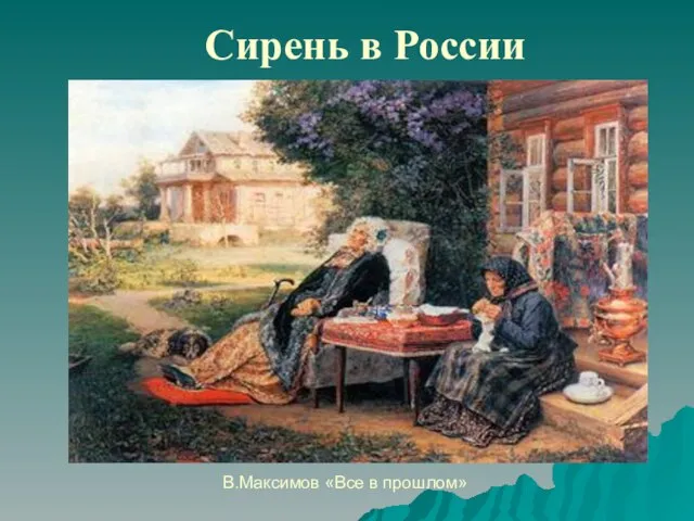 Сирень в России В.Максимов «Все в прошлом»