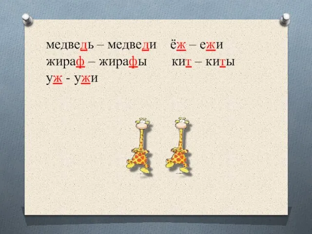 медведь – медведи ёж – ежи жираф – жирафы кит – киты уж - ужи