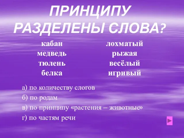 ПО КАКОМУ ПРИНЦИПУ РАЗДЕЛЕНЫ СЛОВА? кабан медведь тюлень белка лохматый рыжая весёлый