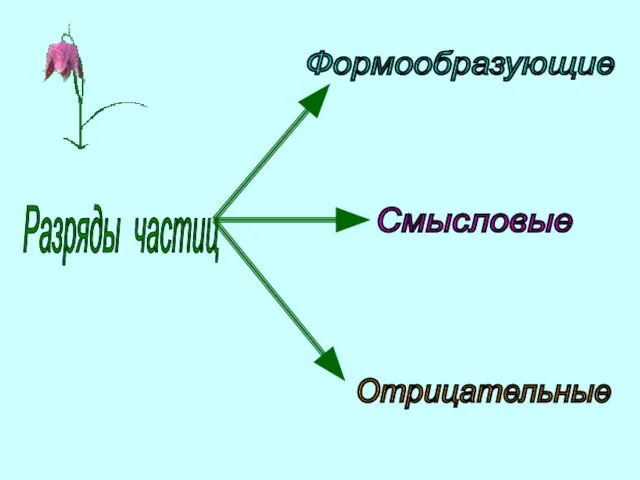 Разряды частиц Формообразующие Смысловые Отрицательные