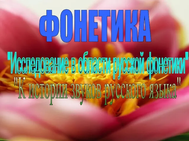 ФОНЕТИКА "Исследование в области русской фонетики" "К истории звуков русского языка"