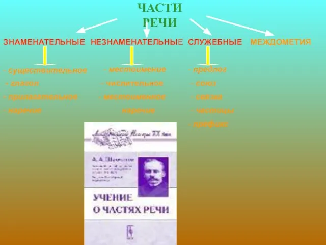 ЧАСТИ РЕЧИ ЗНАМЕНАТЕЛЬНЫЕ НЕЗНАМЕНАТЕЛЬНЫЕ СЛУЖЕБНЫЕ МЕЖДОМЕТИЯ - существительное - глагол - прилагательное