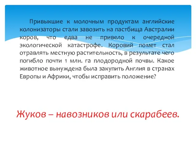 Привыкшие к молочным продуктам английские колонизаторы стали завозить на пастбища Австралии коров,