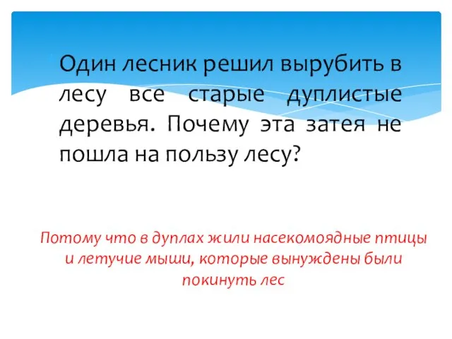 Один лесник решил вырубить в лесу все старые дуплистые деревья. Почему эта