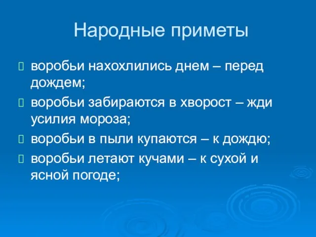 Народные приметы воробьи нахохлились днем – перед дождем; воробьи забираются в хворост