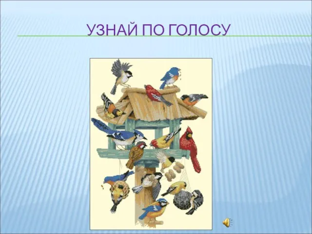 УЗНАЙ ПО ГОЛОСУ