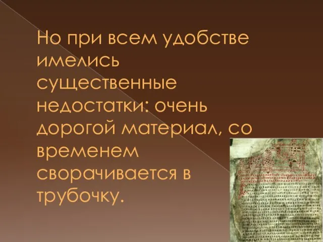 Но при всем удобстве имелись существенные недостатки: очень дорогой материал, со временем сворачивается в трубочку.