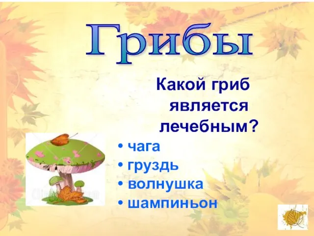 Грибы Какой гриб является лечебным? чага груздь волнушка шампиньон