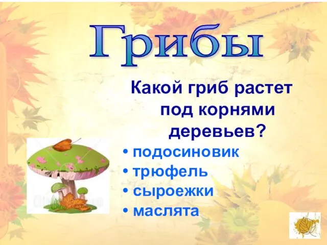 Грибы Какой гриб растет под корнями деревьев? подосиновик трюфель сыроежки маслята