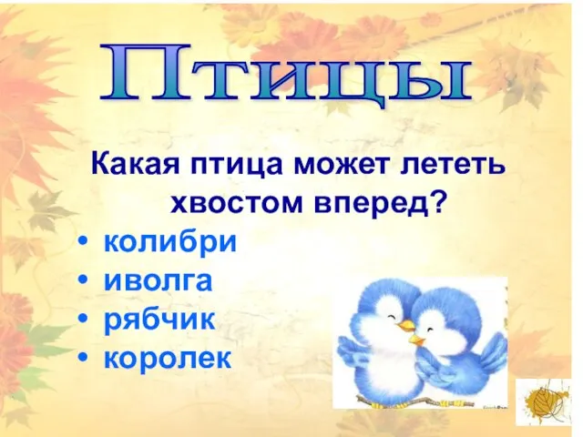 Птицы Какая птица может лететь хвостом вперед? колибри иволга рябчик королек