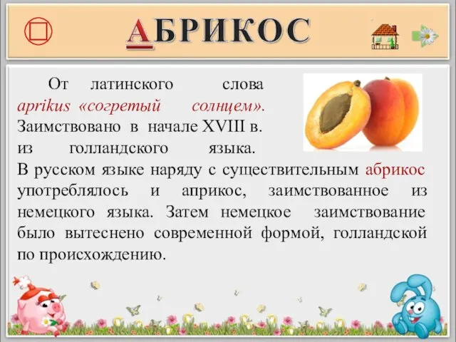 От латинского слова aprikus «согретый солнцем». Заимствовано в начале XVIII в. из