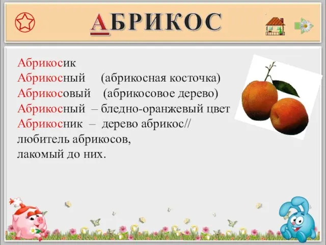 Абрикосик Абрикосный (абрикосная косточка) Абрикосовый (абрикосовое дерево) Абрикосный – бледно-оранжевый цвет Абрикосник