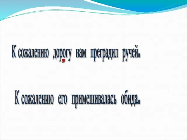 К сожалению дорогу нам преградил ручей. К сожалению его примешивалась обида. ,