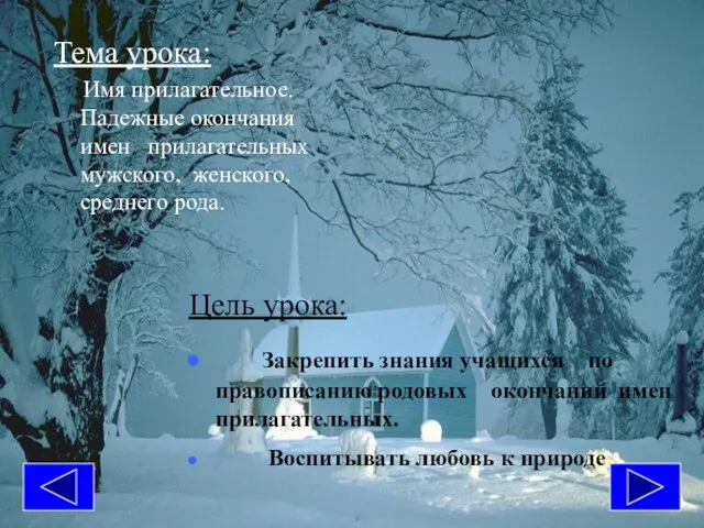 Тема урока: Имя прилагательное. Падежные окончания имен прилагательных мужского, женского, среднего рода.