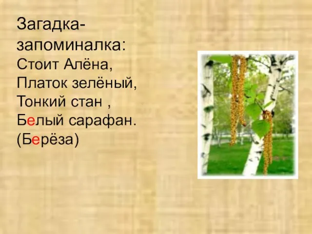 Загадка-запоминалка: Стоит Алёна, Платок зелёный, Тонкий стан , Белый сарафан. (Берёза)