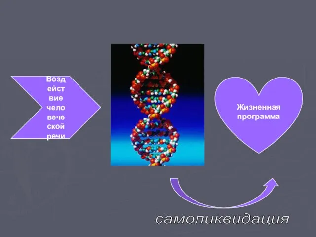 Воздействие человеческой речи Жизненная программа самоликвидация