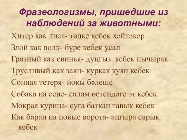 Фразеологизмы, пришедшие из наблюдений за животными: Хитер как лиса- төлке кебек хәйләкәр