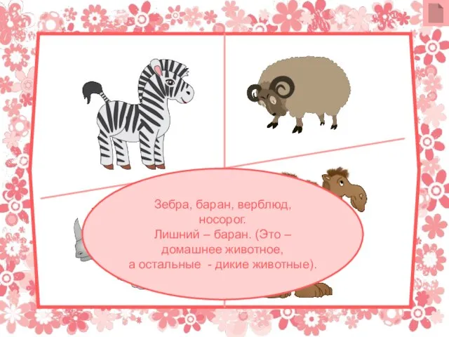 Зебра, баран, верблюд, носорог. Лишний – баран. (Это – домашнее животное, а остальные - дикие животные).