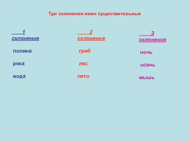 Три склонения имен существительных 1 склонение поляна река вода 2 склонение гриб