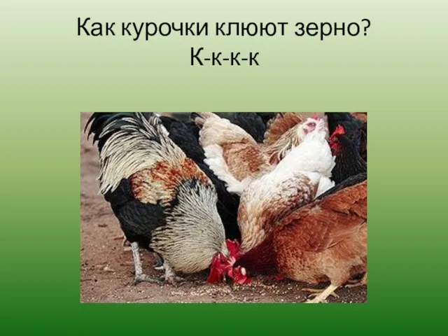 Как курочки клюют зерно? К-к-к-к