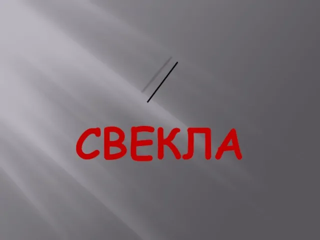 СВЕКЛА