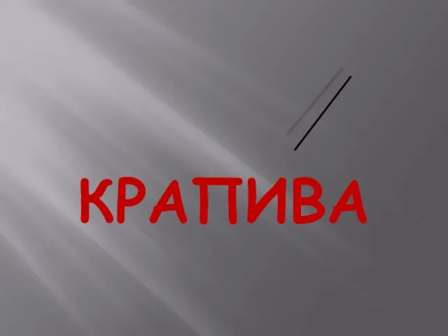 КРАПИВА