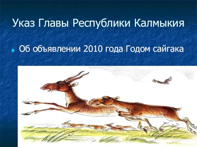 Указ Главы Республики Калмыкия Об объявлении 2010 года Годом сайгака