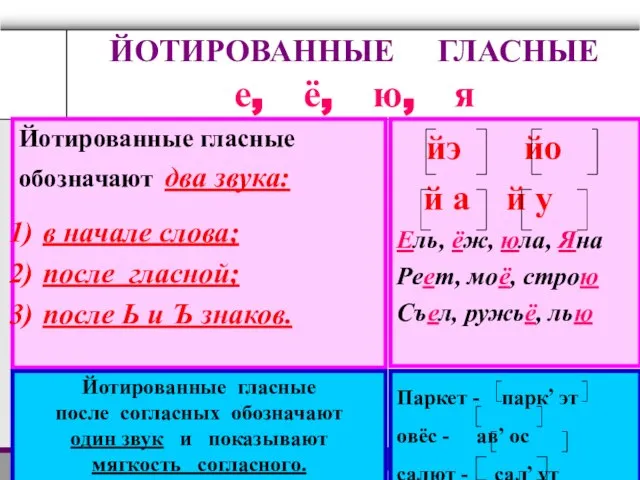 ЙОТИРОВАННЫЕ ГЛАСНЫЕ е, ё, ю, я Йотированные гласные обозначают два звука: в