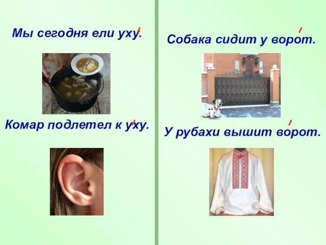 Мы сегодня ели уху. Комар подлетел к уху. Собака сидит у ворот. У рубахи вышит ворот.