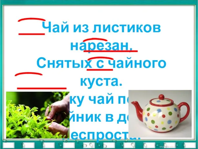 Чай из листиков нарезан, Снятых с чайного куста. Человеку чай полезен – Чайник в доме неспроста.